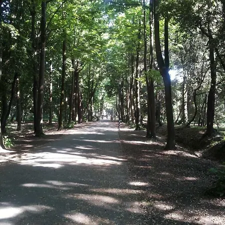 Citta Giardino * Viareggio